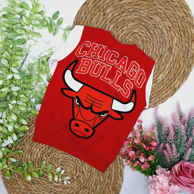 Dres chłopięcy Byk