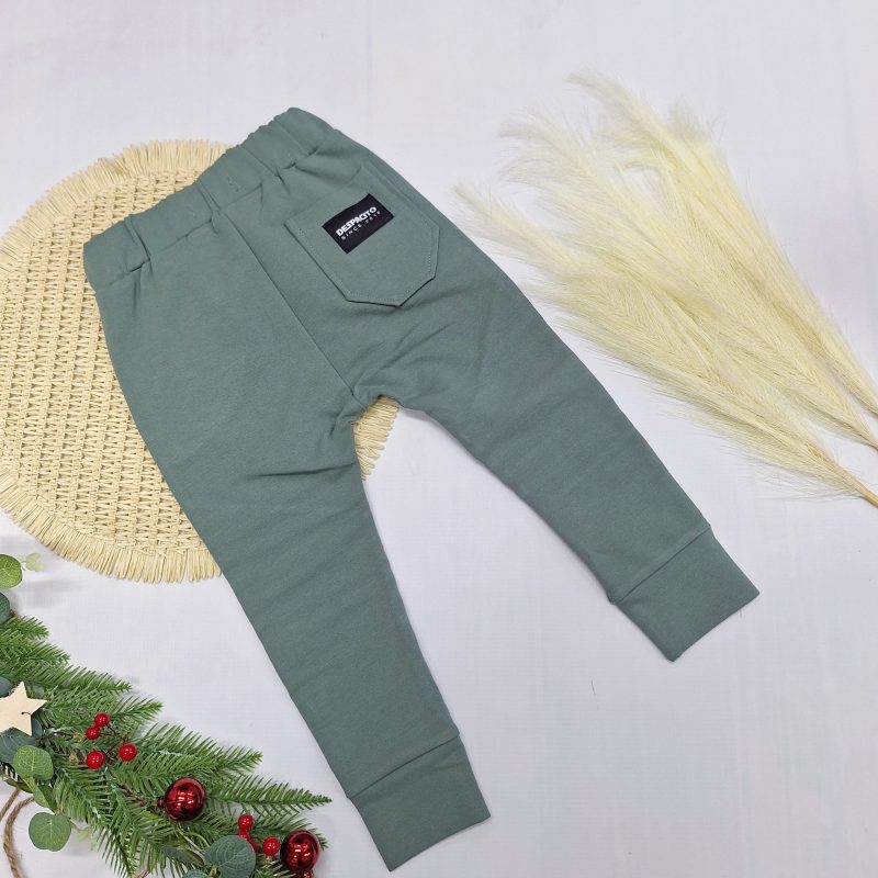 Spodnie Despacito basic zakładki szałwia